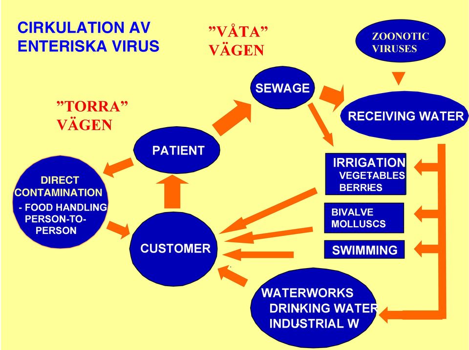 PERSON-TO- PERSON PATIENT CUSTOMER IRRIGATION VEGETABLES - BERRIES