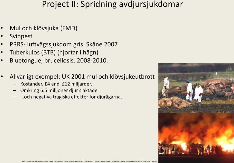 Allvarligt exempel: UK 2001 mul och klövsjukeutbrott Kostander. 4 and 12 miljarder. Omkring 6.