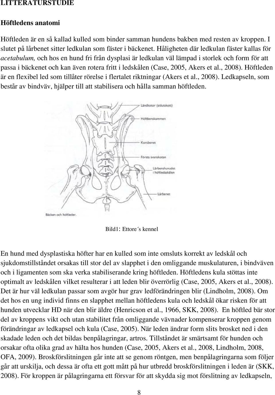 2005, Akers et al., 2008). Höftleden är en flexibel led som tillåter rörelse i flertalet riktningar (Akers et al., 2008). Ledkapseln, som består av bindväv, hjälper till att stabilisera och hålla samman höftleden.