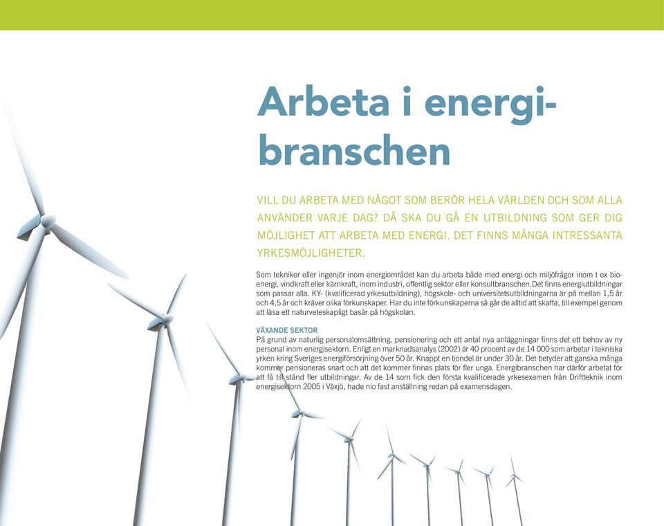 Som tekniker eller ingenjör inom energiområdet kan du arbeta både med energi och miljöfrågor inom t ex bioenergi, vindkraft eller kärnkraft, inom industri, offentlig sektor eller konsultbranschen.