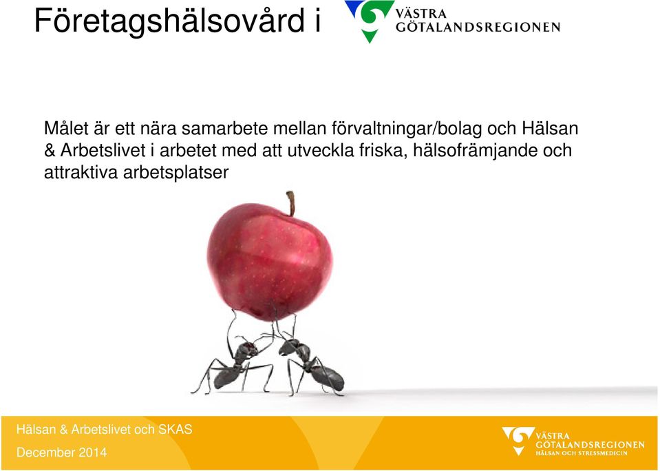 Hälsan & Arbetslivet i arbetet med att