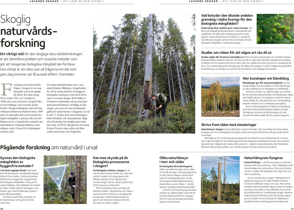 Forskning om naturvårdsfrågor i skogen är en ung disciplin som kom igång på allvar för bara drygt 2 år sedan.