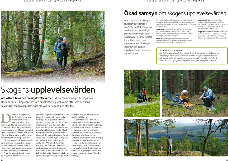 Som underlag för det fortsatta arbetet med skogens upplevelsevärden anges målbilder för upplevelsevärden inom fyra delområden som har stor betydelse för friluftsliv och rekreation.