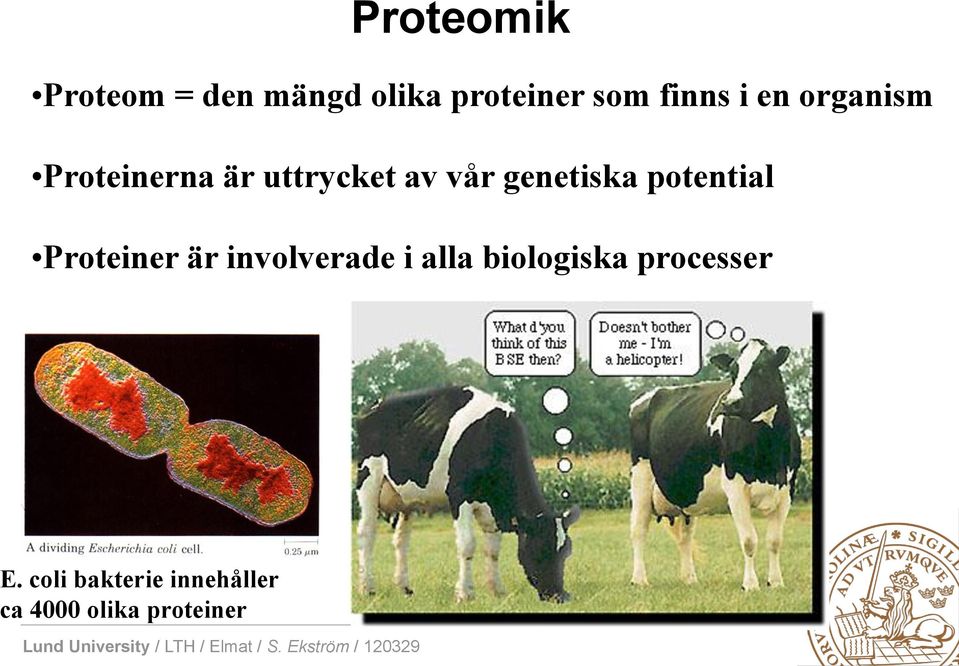 potential Proteiner är involverade i alla biologiska