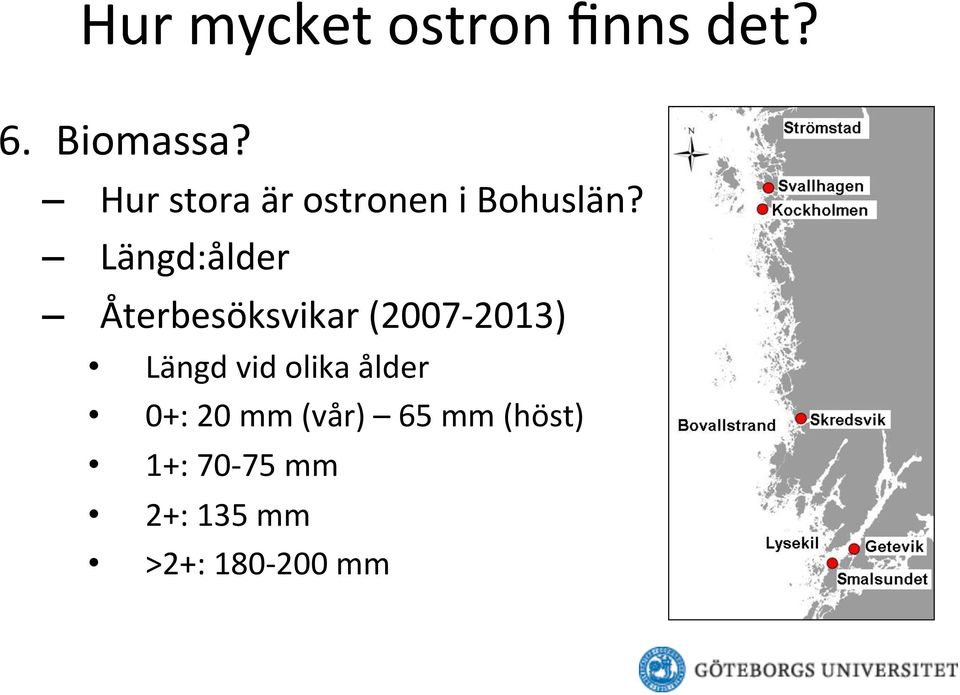 Längd:ålder Återbesöksvikar (2007-2013) Längd vid