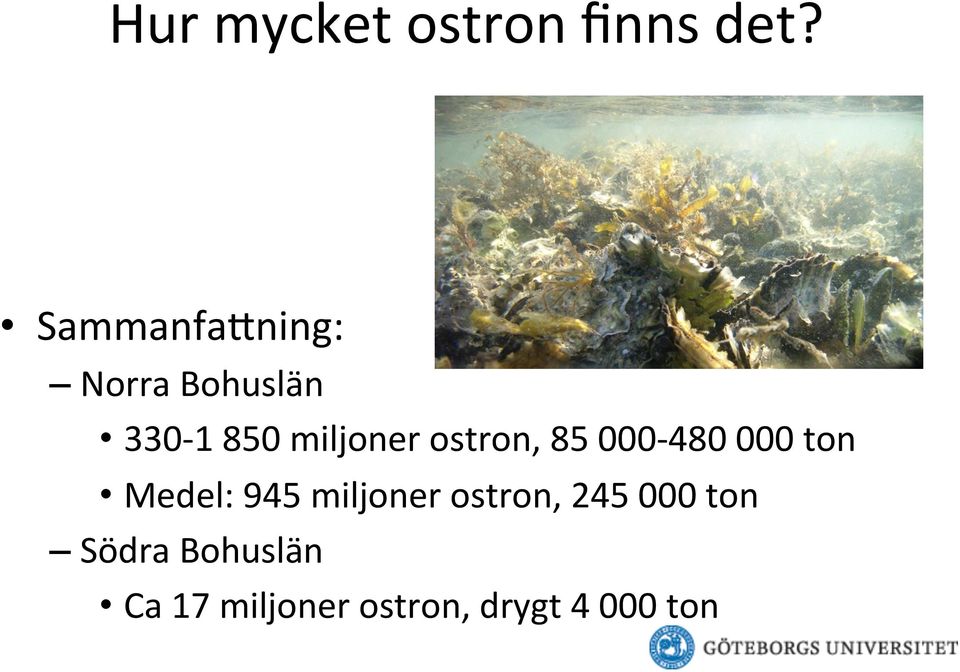 ostron, 85 000-480 000 ton Medel: 945 miljoner