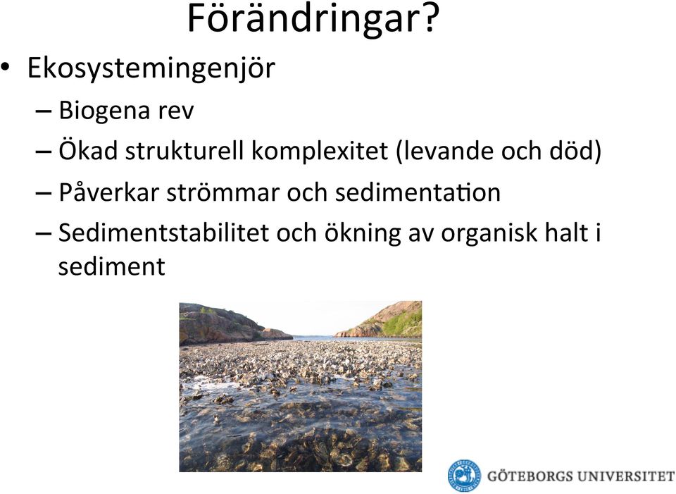 strukturell komplexitet (levande och död)