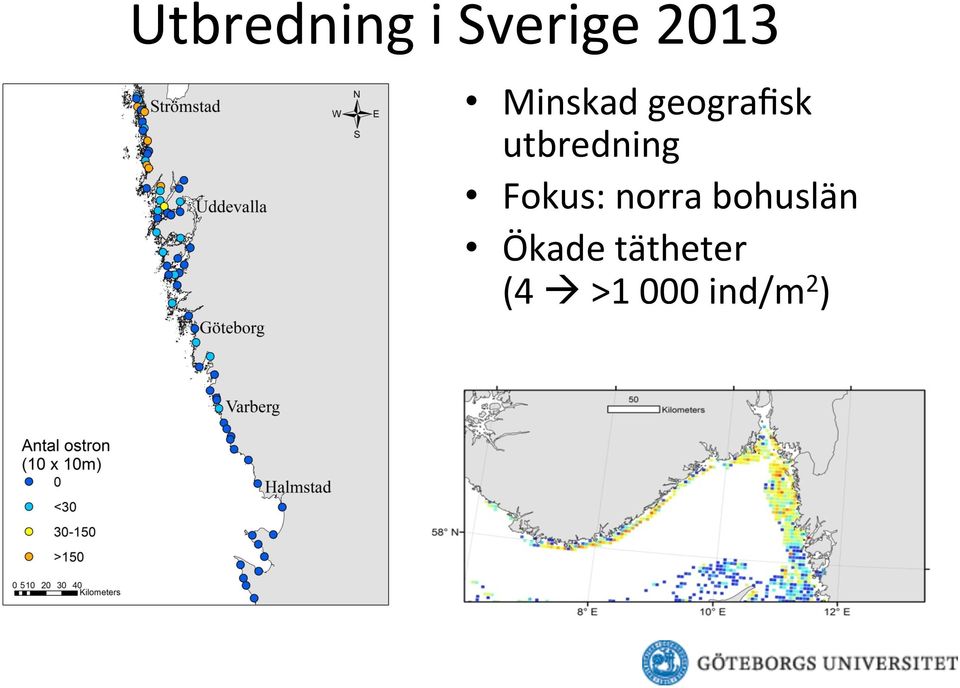 utbredning Fokus: norra