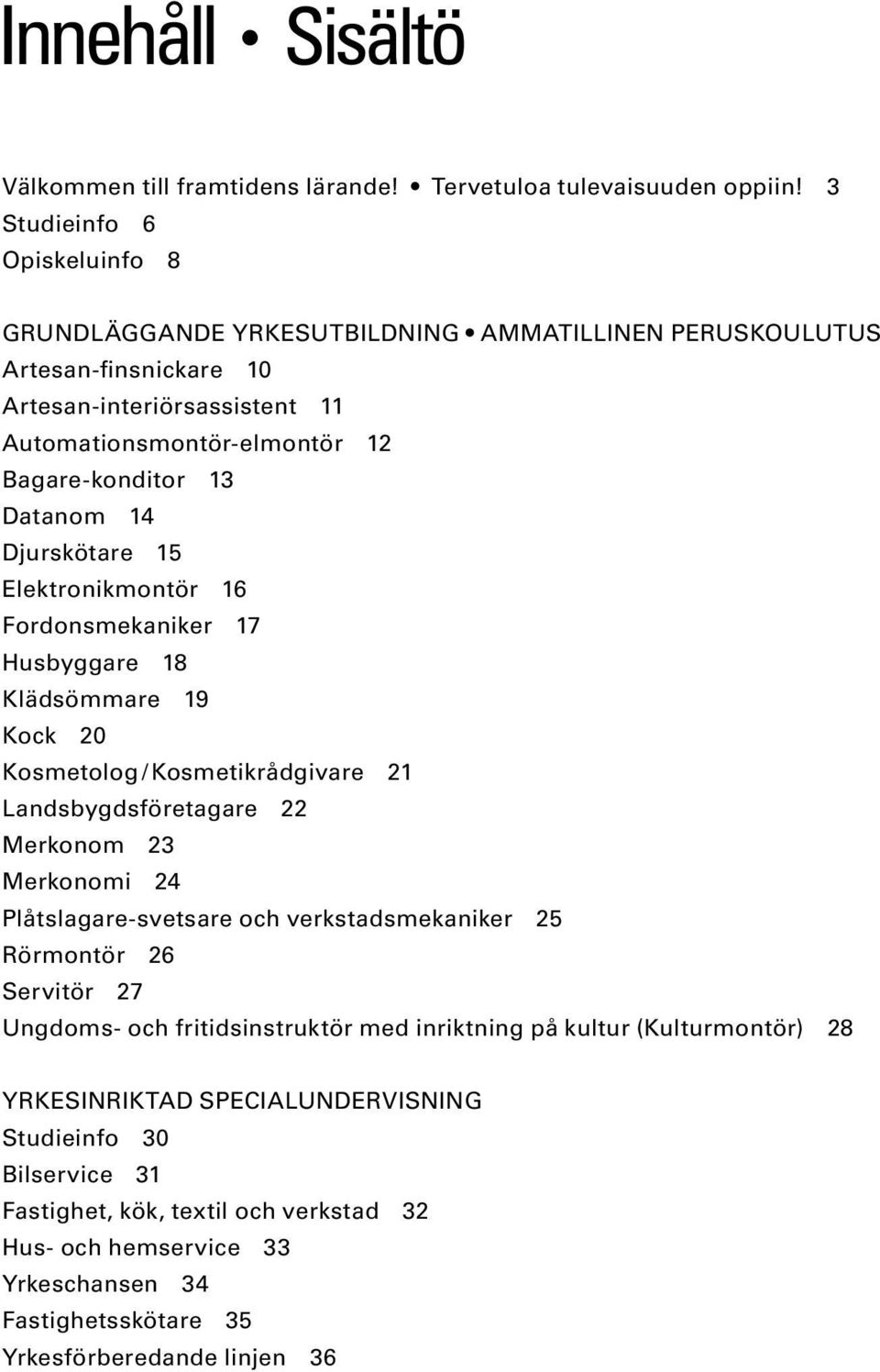 14 Djurskötare 15 Elektronikmontör 16 Fordonsmekaniker 17 Husbyggare 18 Klädsömmare 19 Kock 20 Kosmetolog / Kosmetikrådgivare 21 Landsbygdsföretagare 22 Merkonom 23 Merkonomi 24 Plåtslagare-svetsare