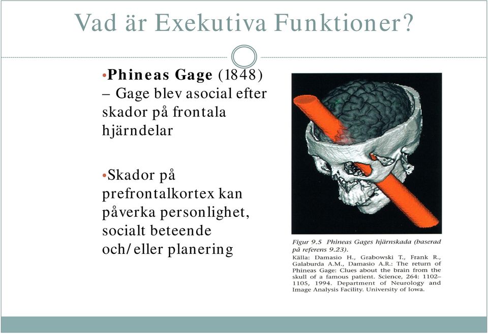 skador på frontala hjärndelar Skador på