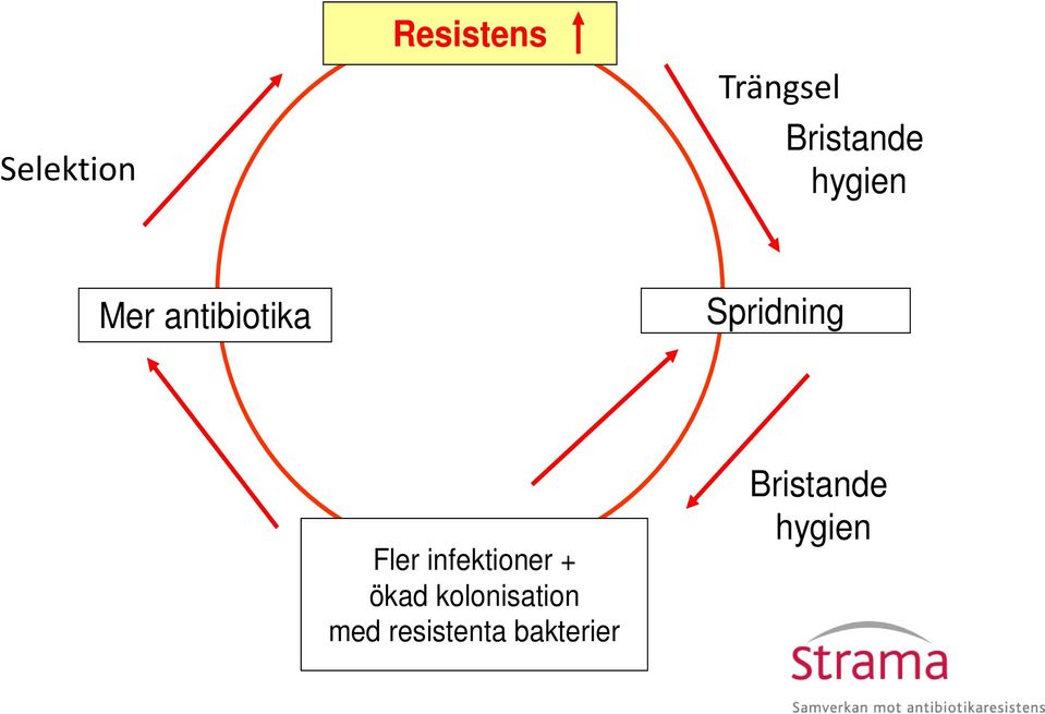 Spridning Fler infektioner + ökad