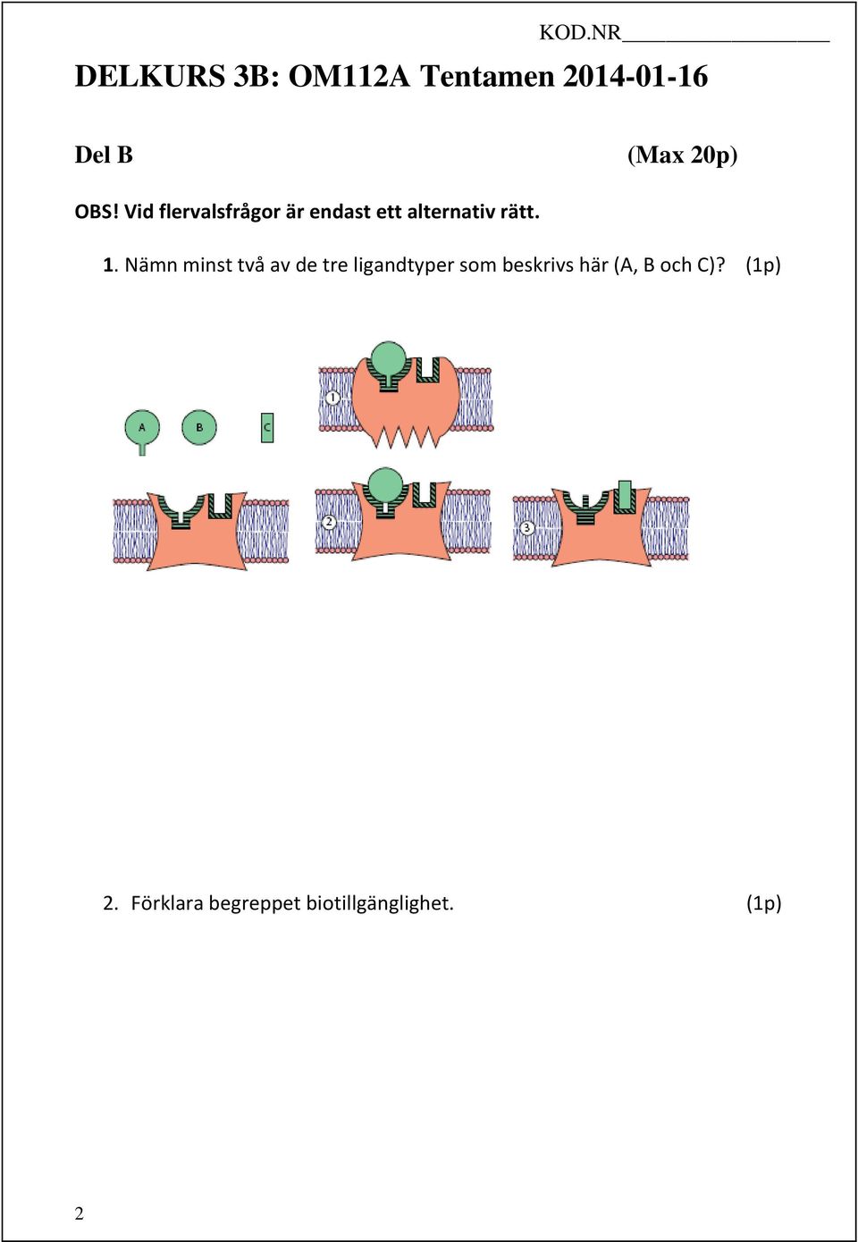 rätt. 1.