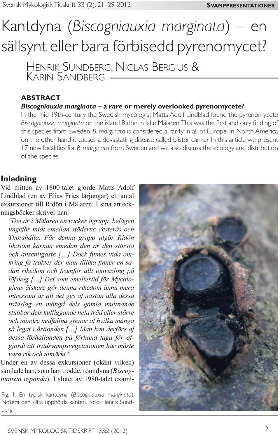 In the mid 19th-century the Swedish mycologist Matts Adolf Lindblad found the pyrenomycete Biscogniauxia marginata on the island Ridön in lake Mälaren.