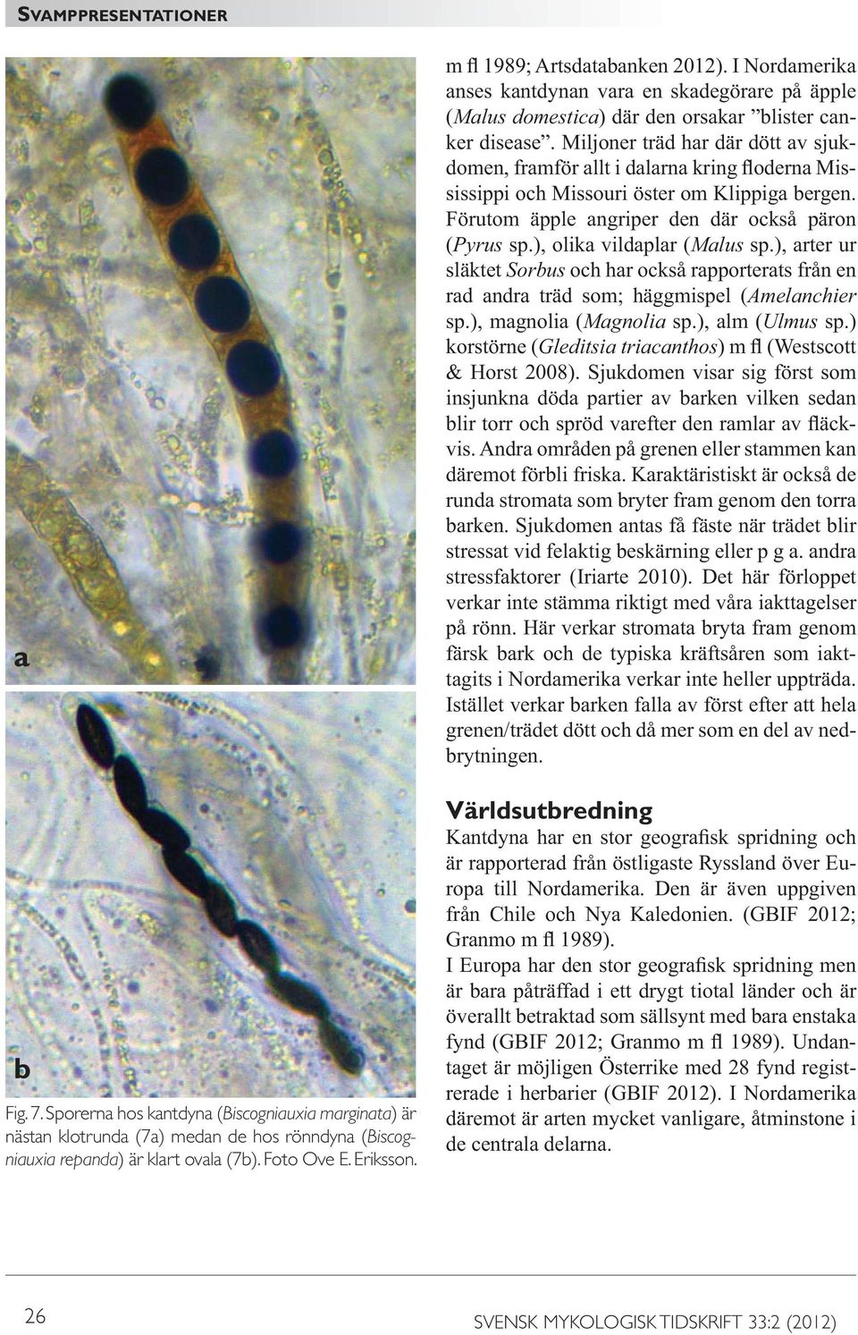 ), arter ur släktet Sorbus och har också rapporterats från en rad andra träd som; häggmispel (Amelanchier sp.), magnolia (Magnolia sp.), alm (Ulmus sp.) korstörne (Gleditsia triacanthos & Horst 2008).