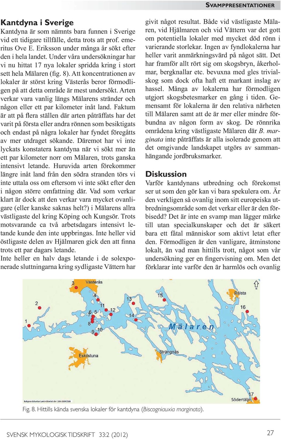 Arten verkar vara vanlig längs Mälarens stränder och någon eller ett par kilometer inåt land. Faktum varit på första eller andra rönnen som besiktigats av mer utdraget sökande.