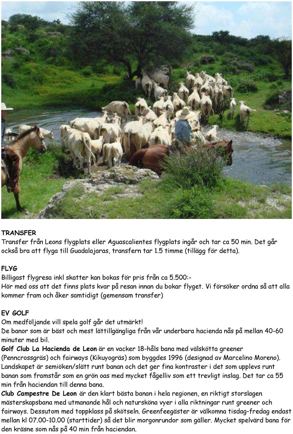 Vi försöker ordna så att alla kommer fram och åker samtidigt (gemensam transfer) EV GOLF Om medföljande vill spela golf går det utmärkt!