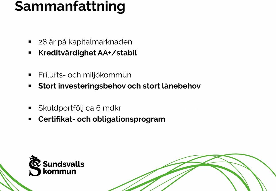 Stort investeringsbehov och stort lånebehov