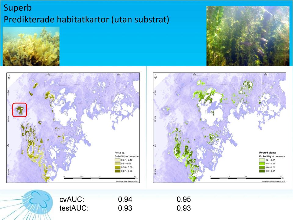 substrat) cvauc: 0.