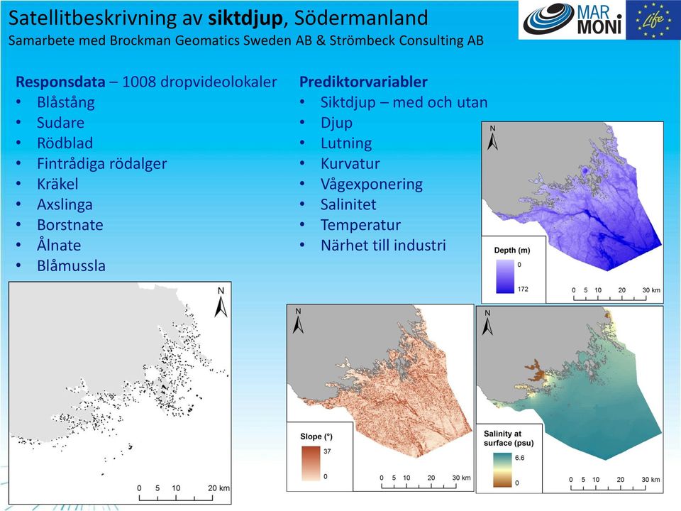 Fintrådiga rödalger Kräkel Axslinga Borstnate Ålnate Blåmussla Prediktorvariabler