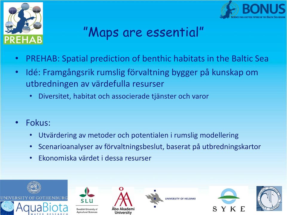 associerade tjänster och varor Fokus: Utvärdering av metoder och potentialen i rumslig modellering