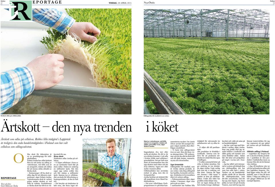 REPORTAGE Text och foto: Gerd Mattsson-Turku O lika skott för dekoration är en ny produktgrupp för trädgårdsodlare.