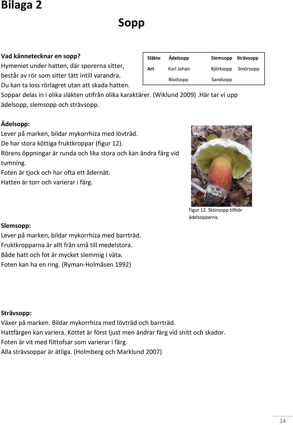 Släkte Ädelsopp Slemsopp Strävsopp Art Karl Johan Björksopp Smörsopp Ädelsopp: Lever på marken, bildar mykorrhiza med lövträd. De har stora köttiga fruktkroppar (figur 12).