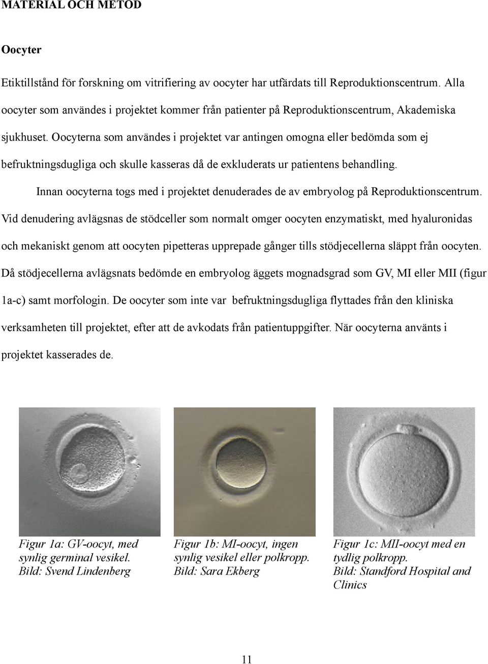 Oocyterna som användes i projektet var antingen omogna eller bedömda som ej befruktningsdugliga och skulle kasseras då de exkluderats ur patientens behandling.