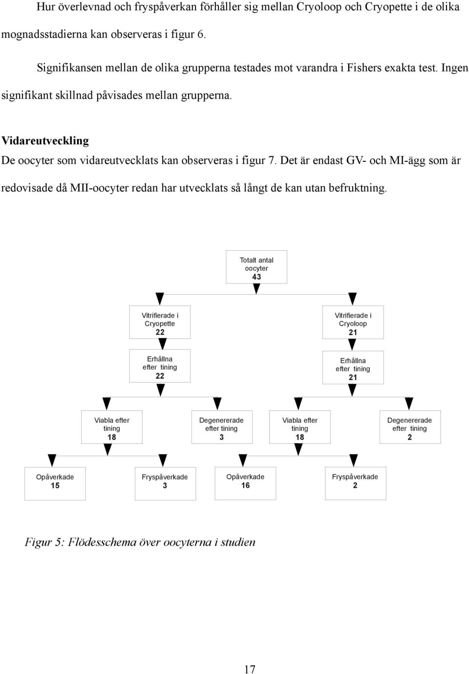 Vidareutveckling De oocyter som vidareutvecklats kan observeras i figur 7. Det är endast GV- och MI-ägg som är redovisade då MII-oocyter redan har utvecklats så långt de kan utan befruktning.