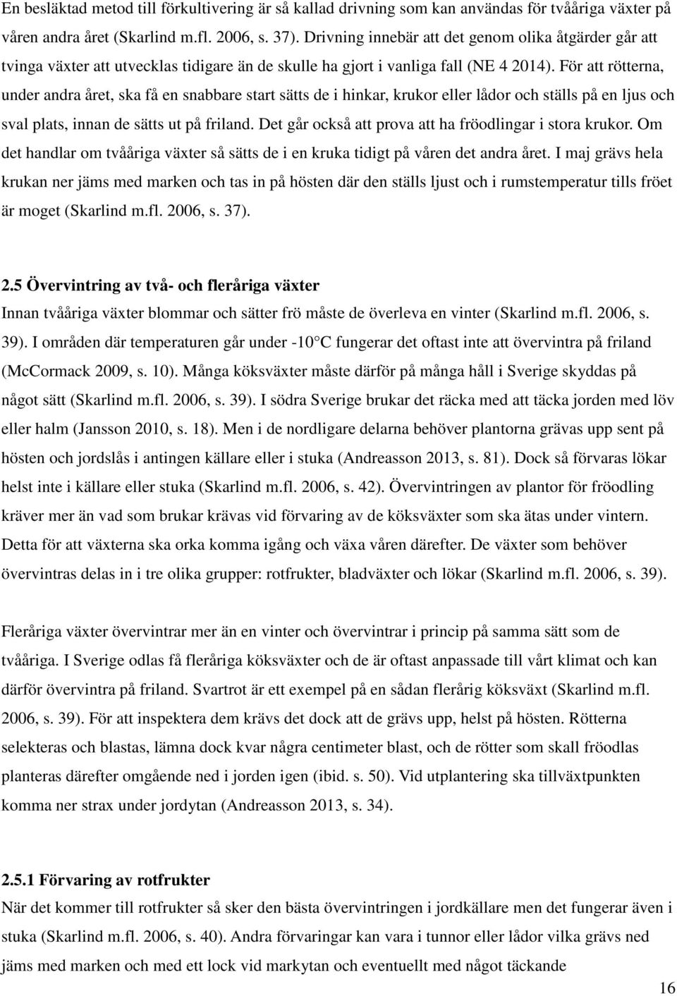 För att rötterna, under andra året, ska få en snabbare start sätts de i hinkar, krukor eller lådor och ställs på en ljus och sval plats, innan de sätts ut på friland.