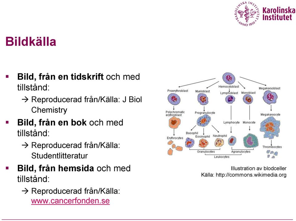 Studentlitteratur Bild, från hemsida och med tillstånd: Reproducerad