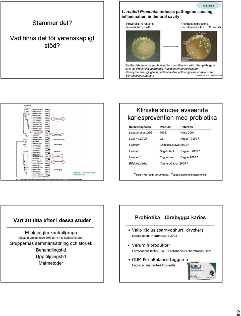 nigrescens colonies Similar data have been obtained for co-cultivation with other pathogens such as Prevotella intermedia, Fusobacterium nucleatum, Porphyromonas gingivalis, Actinobacillus