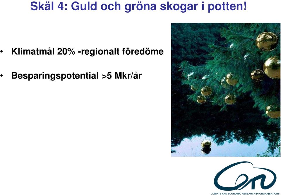 Klimatmål 20% -regionalt