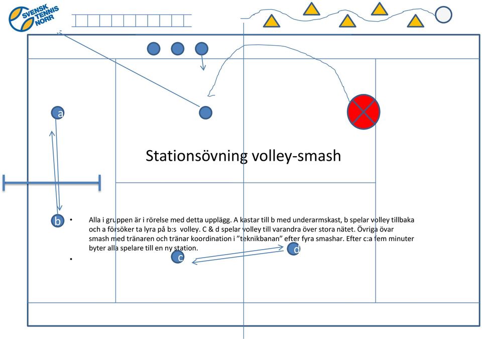 volley. C & d spelar volley till varandra över stora nätet.