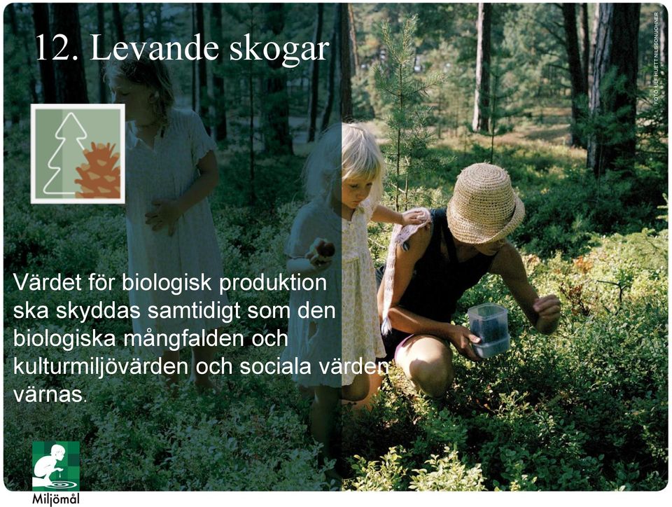 produktion ska skyddas samtidigt som den