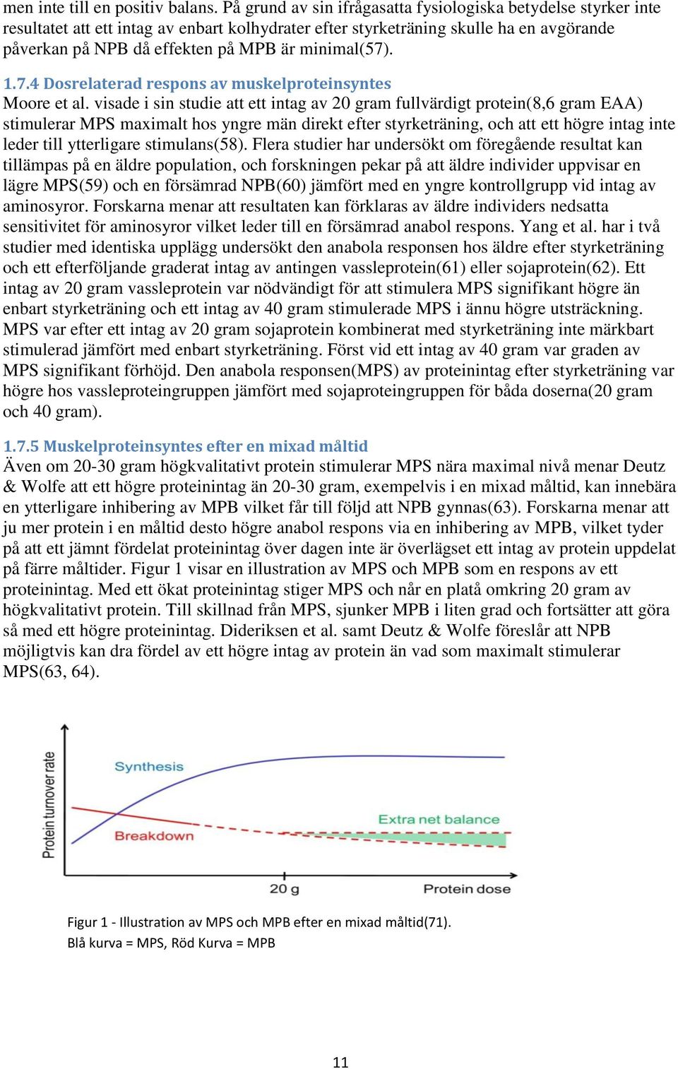 minimal(57). 1.7.4 Dosrelaterad respons av muskelproteinsyntes Moore et al.