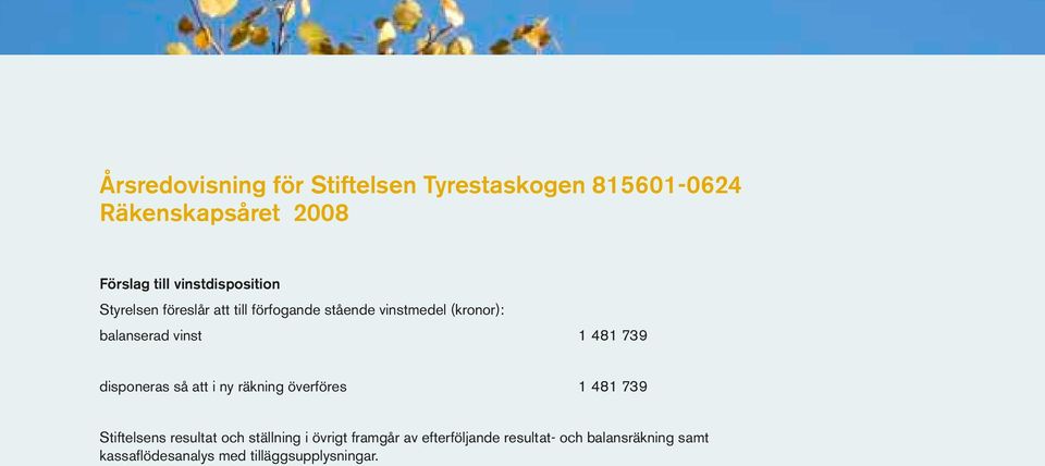 balanserad vinst 1 481 739 disponeras så att i ny räkning överföres 1 481 739 Stiftelsens resultat och