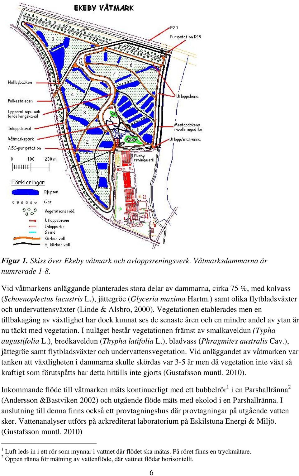 ) samt olika flytbladsväxter och undervattensväxter (Linde & Alsbro, 2000).