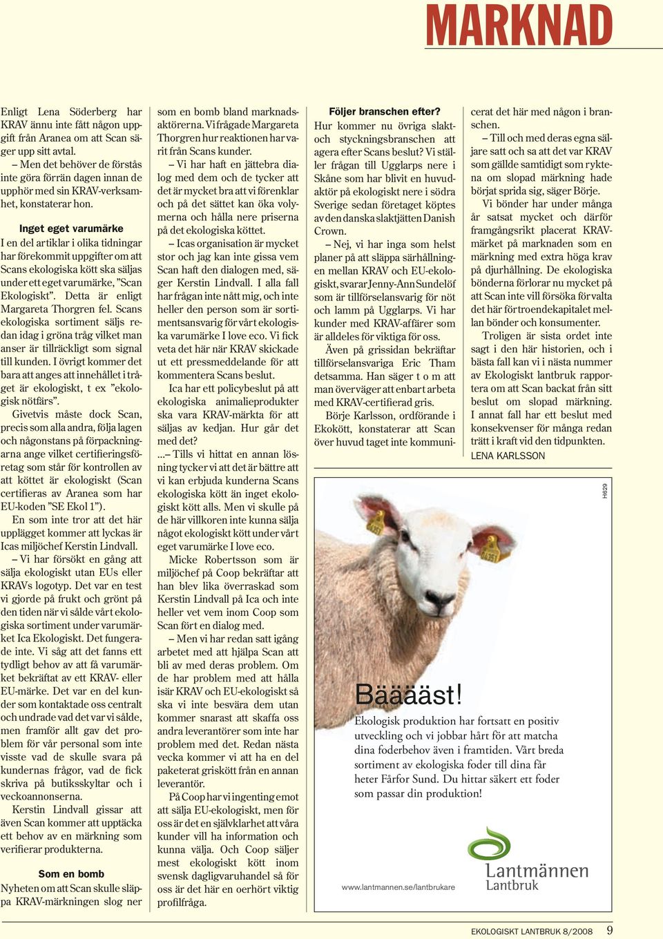 Inget eget varumärke I en del artiklar i olika tidningar har förekommit uppgifter om att Scans ekologiska kött ska säljas under ett eget varumärke, Scan Ekologiskt.