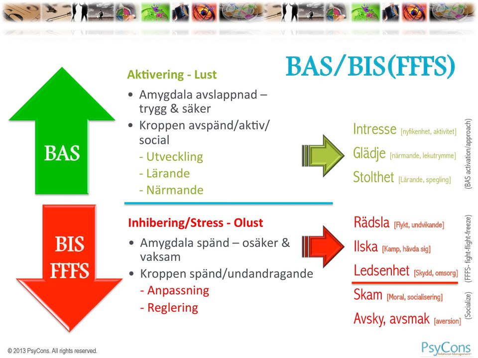 BAS/BIS(FFFS) Intresse [nyfikenhet, aktivitet] Glädje [närmande, lekutrymme] Stolthet [Lärande, spegling] Rädsla [Flykt, undvikande] Ilska