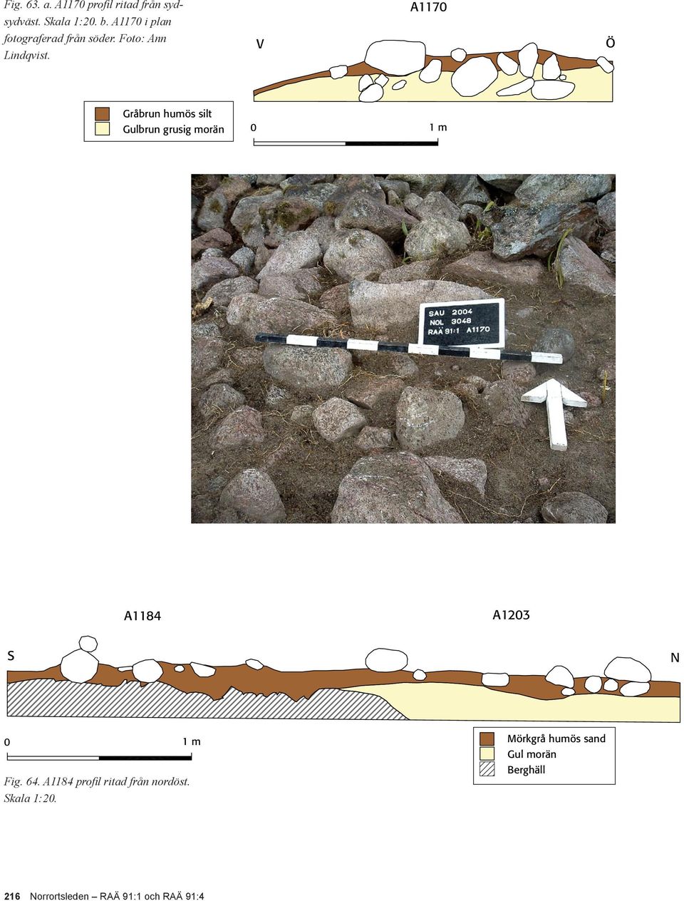 V A1170 Ö Gråbrun humös silt Gulbrun grusig morän 0 1 m A1184 A1203 S N 0 1 m Fig.