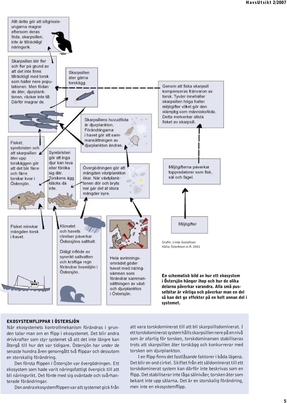 EKOSYSTEMFLIPPAR I ÖSTERSJÖN När ekosystemets kontrollmekanism förändras i grunden talar man om en flipp i ekosystemet.