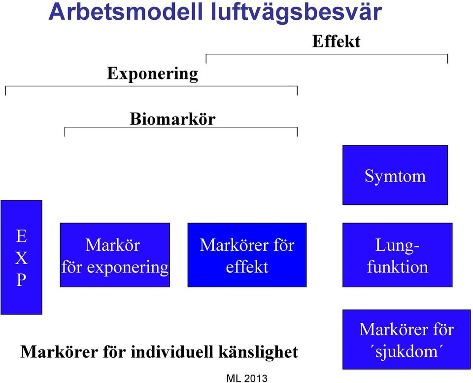 exponering Markörer för effekt Lungfunktion