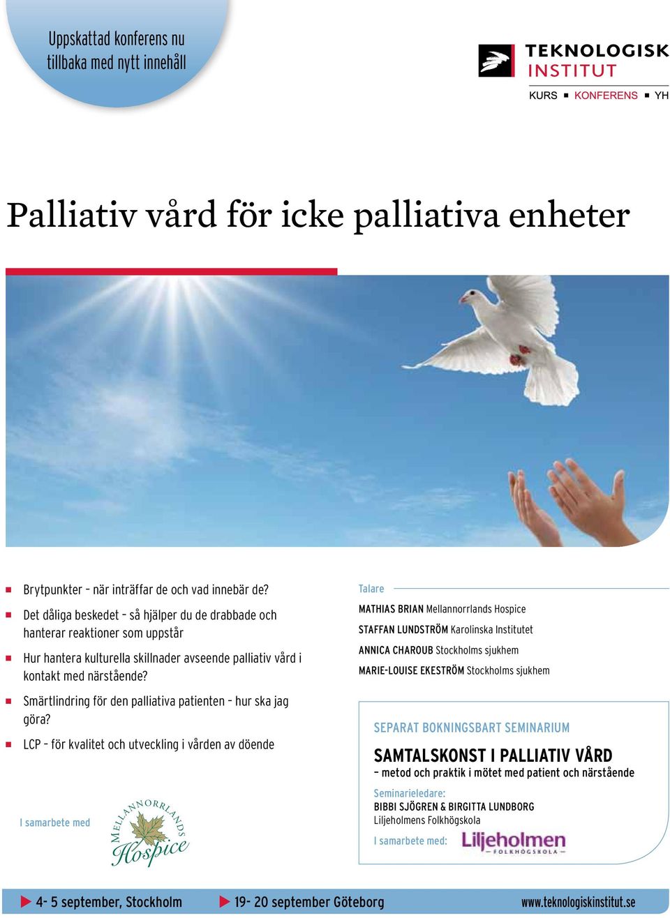 Smärtlindring för den palliativa patienten hur ska jag göra?