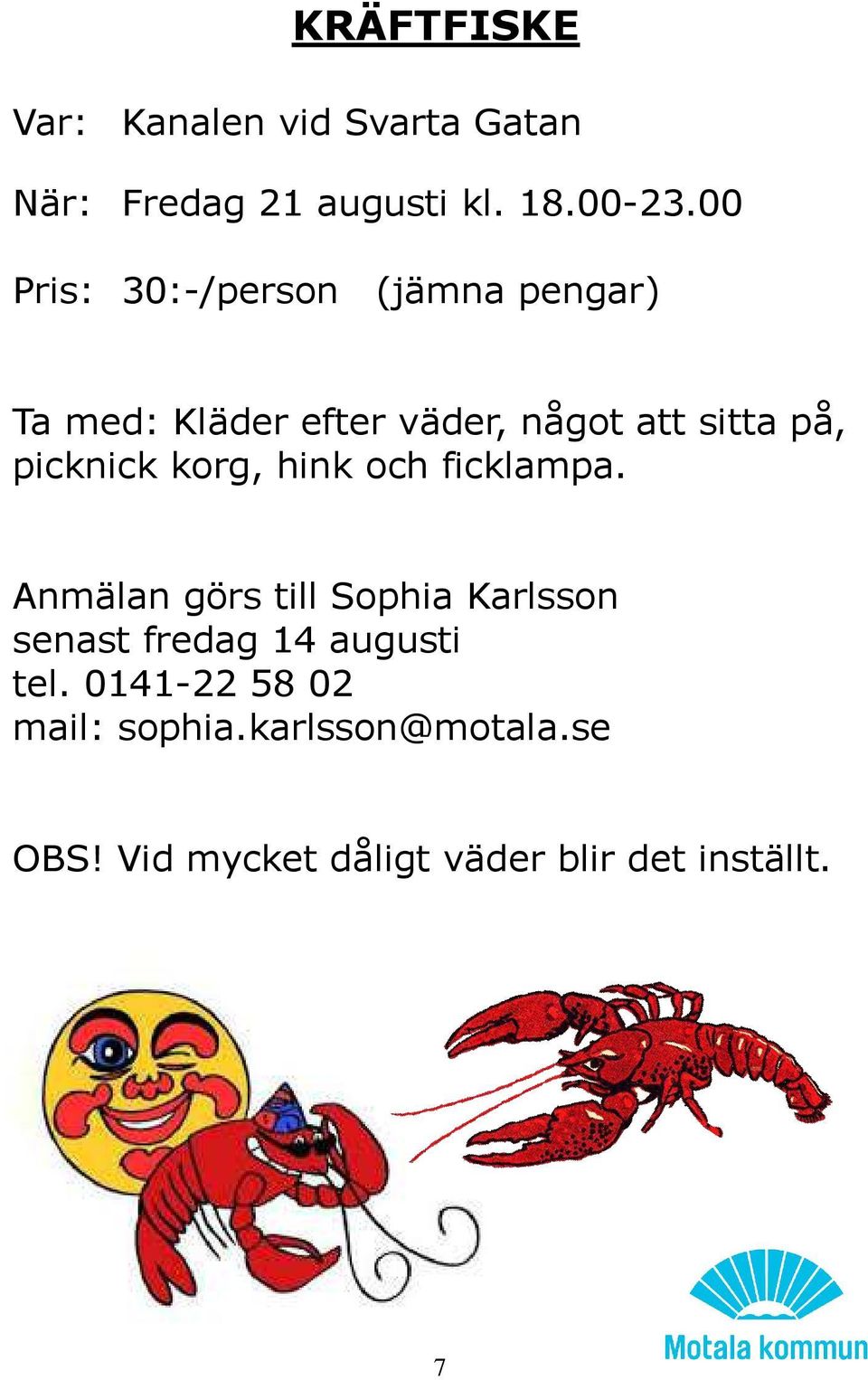 picknick korg, hink och ficklampa.