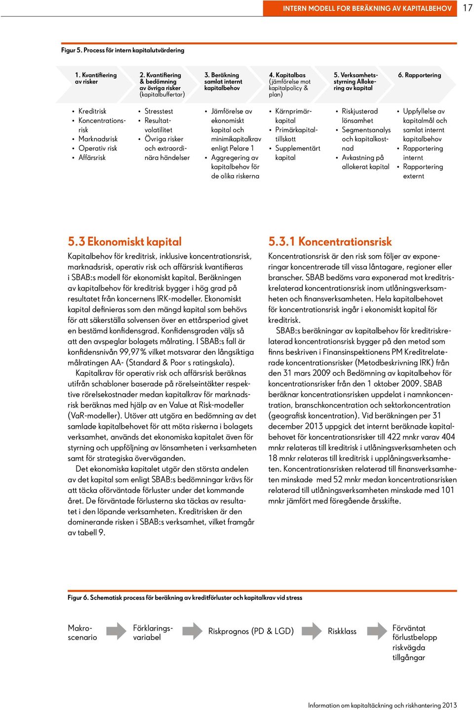 Rapportering Kreditrisk Koncentrationsrisk Marknadsrisk Operativ risk Affärsrisk Stresstest Resultatvolatilitet Övriga risker och extraordinära händelser Jämförelse av ekonomiskt kapital och