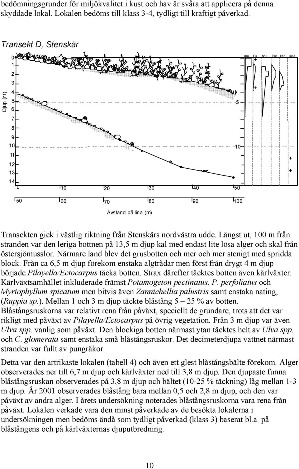 nordvästra udde. Längst ut, 100 m från stranden var den leriga bottnen på 13, m djup kal med endast lite lösa alger och skal från östersjömusslor.