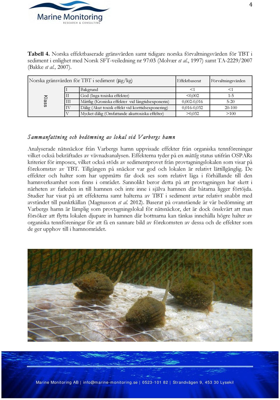 Norska gränsvärden för TBT i sediment (µg/kg) Klass Effektbaserat Förvaltningsvärden I Bakgrund <1 <1 II God (Inga toxiska effekter) <0,002 1-5 III Måttlig (Kroniska effekter vid långtidsexponerin)