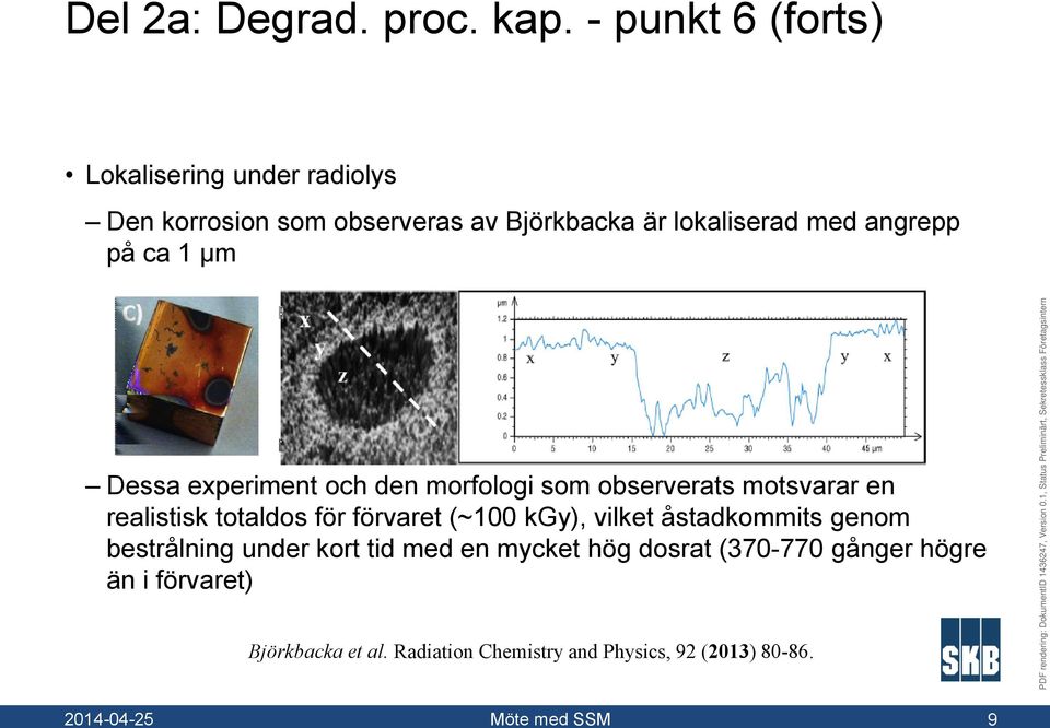 angrepp på ca 1 µm Dessa experiment och den morfologi som observerats motsvarar en realistisk totaldos för