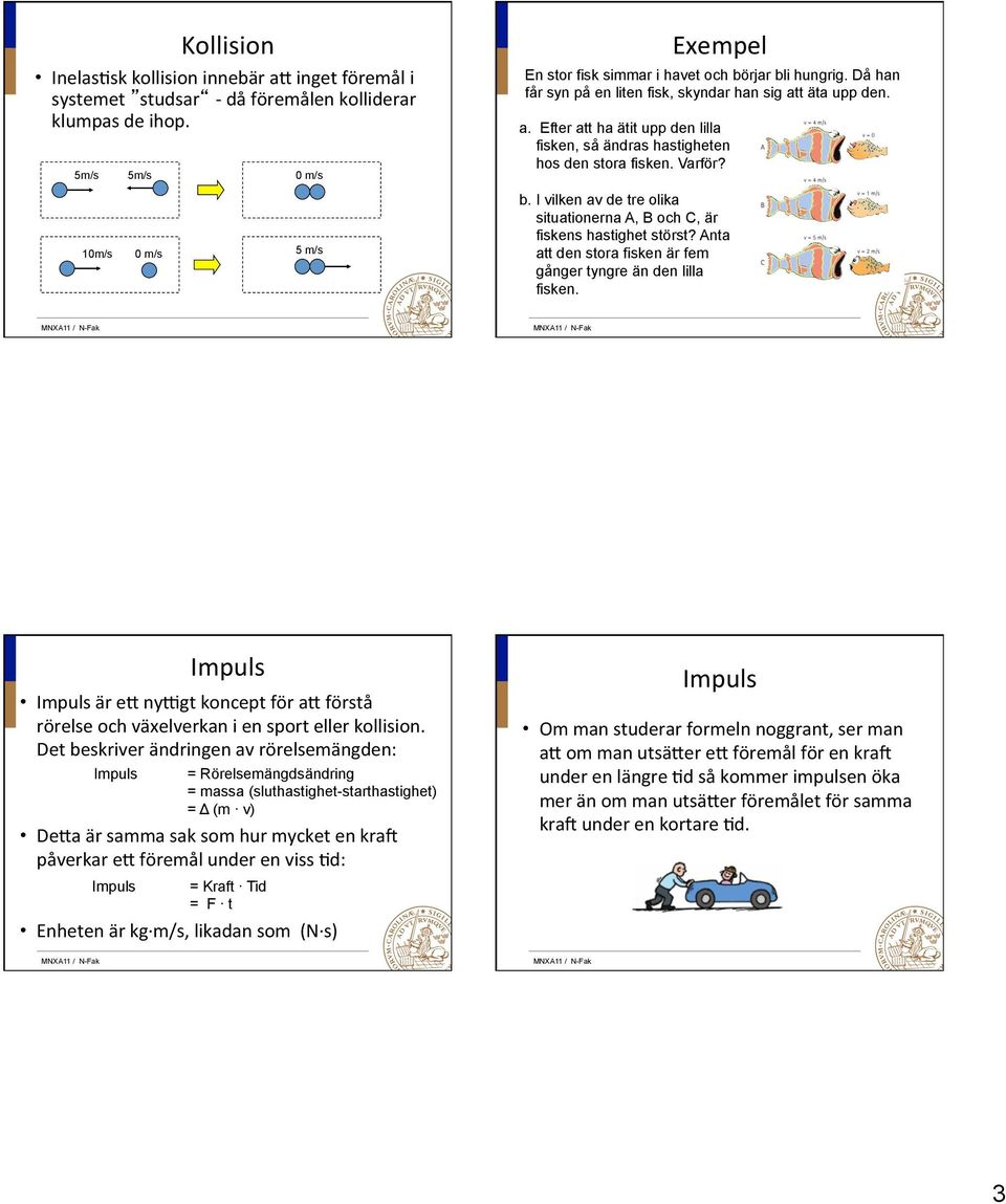 I vilken av de tre olika situationerna A, B oc C, är fiskens astiget störst? Anta att den stora fisken är fem gånger tyngre än den lilla fisken.