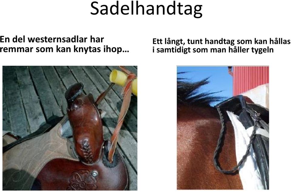 långt, tunt handtag som kan hållas